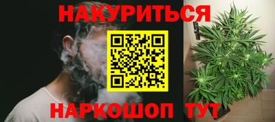 сатива Ирбит